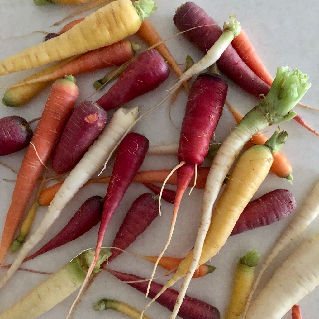 A colorful array of freshly harvested carrots.